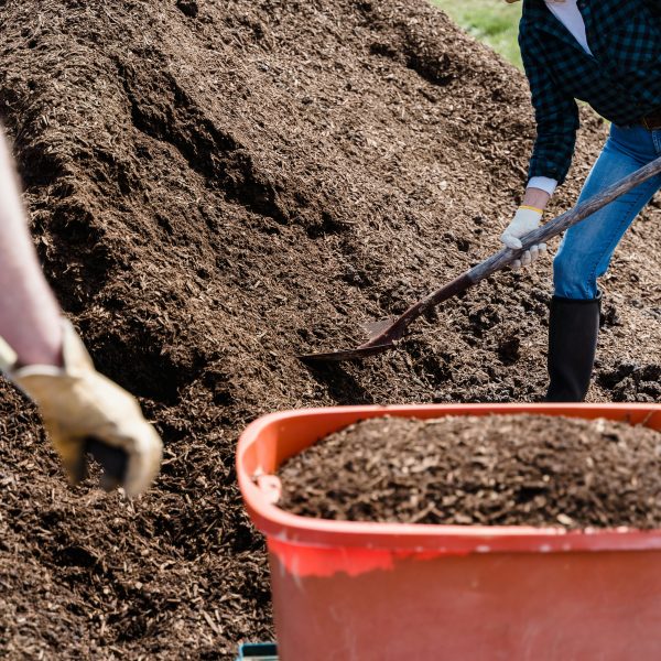 What’s In Your Hands? Growth demands Resourcefulness